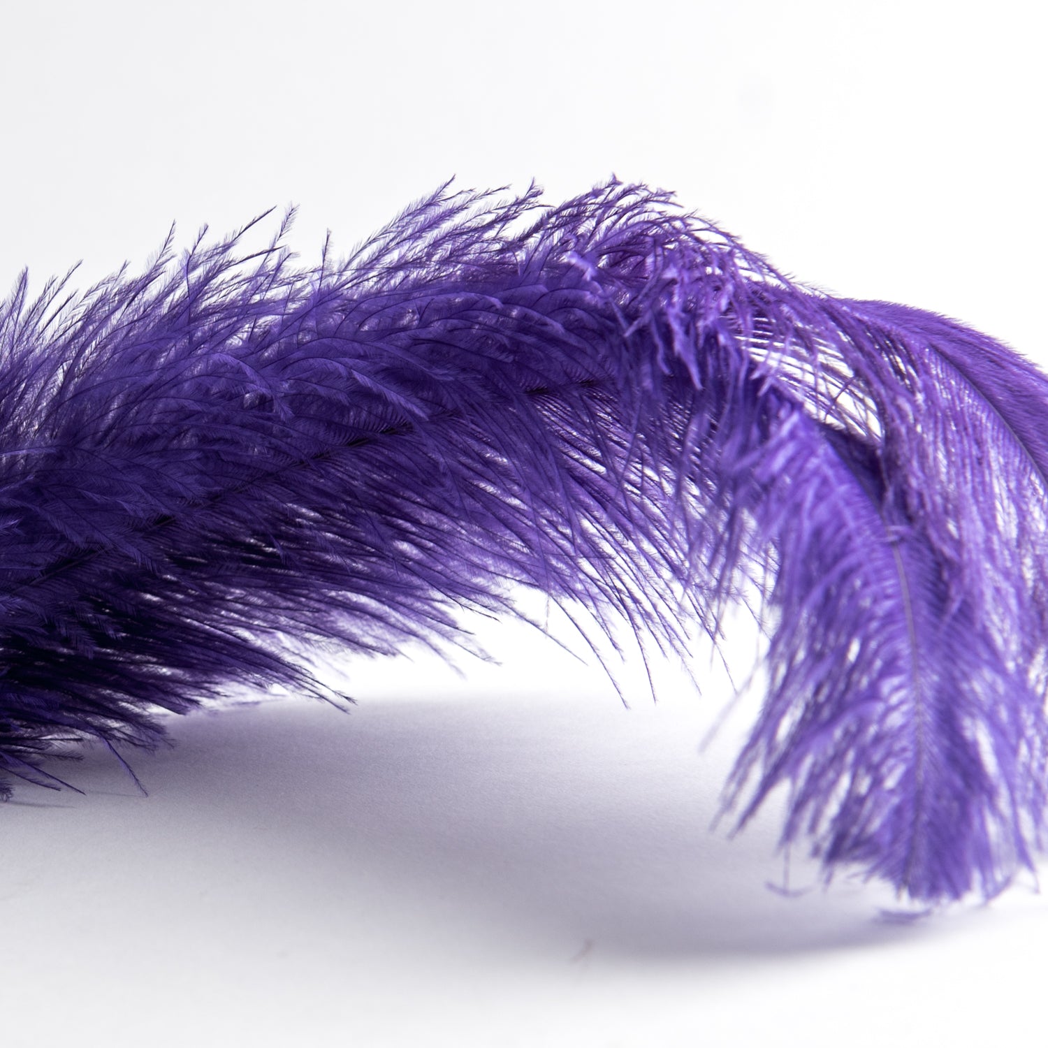 Large Ostrich Feather Tickler